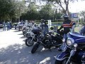 Debary 2-10-08 010